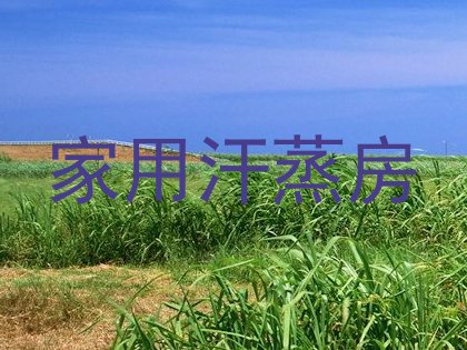 家用汗蒸房