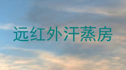 远红外汗蒸房