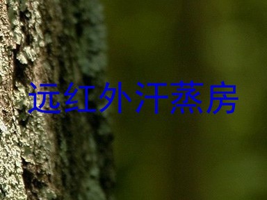 远红外汗蒸房