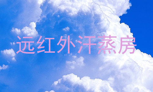 远红外汗蒸房