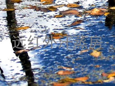 远红外汗蒸房