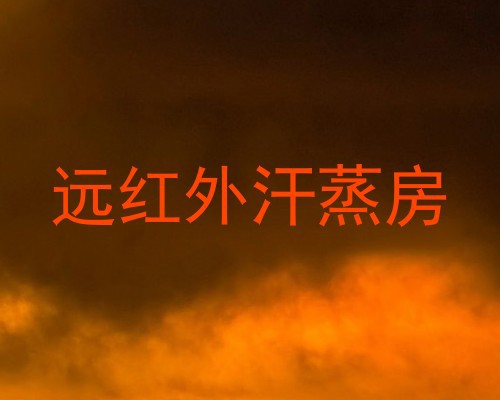远红外汗蒸房