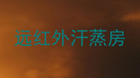 远红外汗蒸房