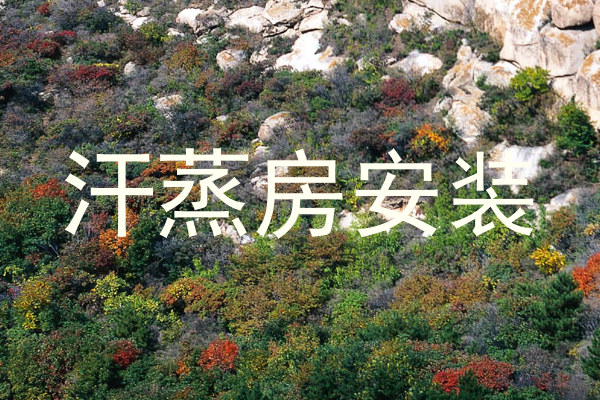 汗蒸房安装