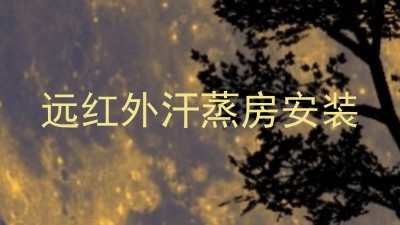 远红外汗蒸房安装