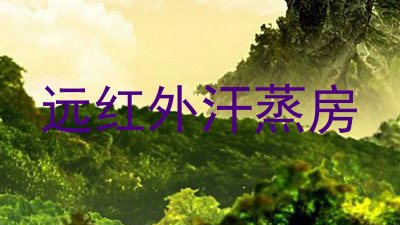 远红外汗蒸房