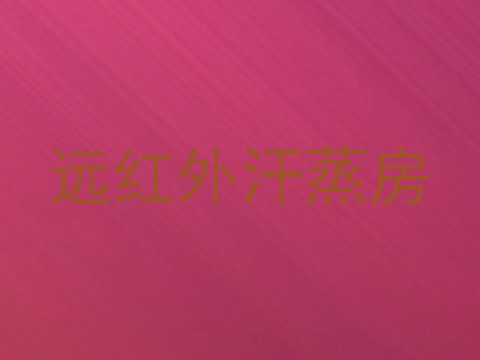 远红外汗蒸房