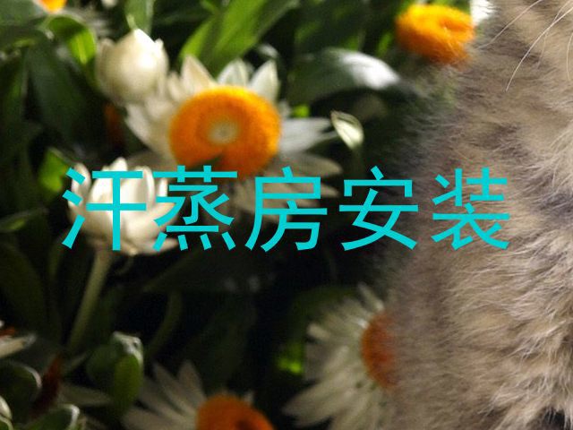 汗蒸房安装