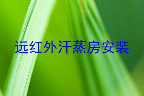 远红外汗蒸房安装