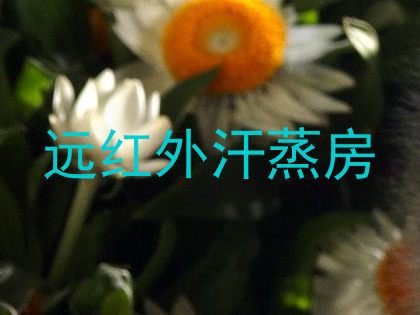 远红外汗蒸房