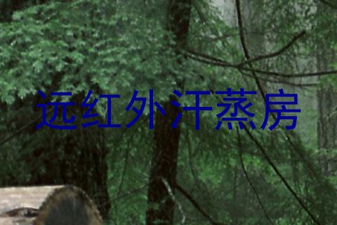 远红外汗蒸房