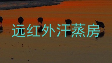 远红外汗蒸房