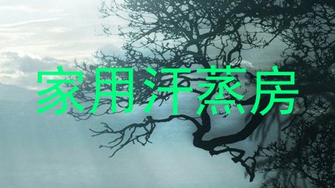 家用汗蒸房