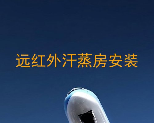 远红外汗蒸房安装