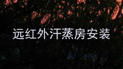 远红外汗蒸房安装