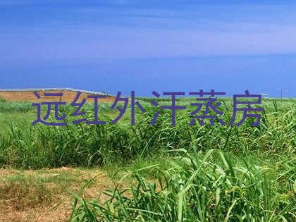 远红外汗蒸房