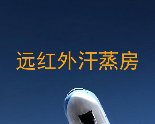远红外汗蒸房
