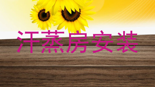 汗蒸房安装