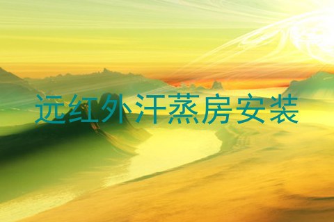 远红外汗蒸房安装