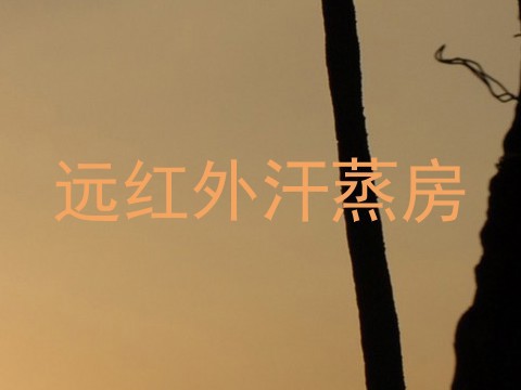 远红外汗蒸房