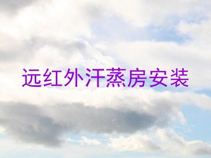 远红外汗蒸房安装
