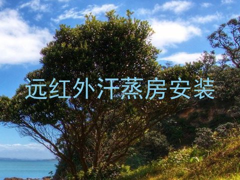 远红外汗蒸房安装