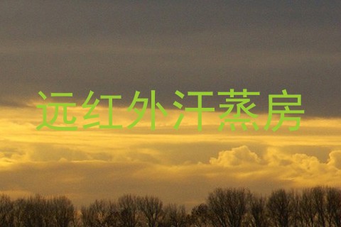 远红外汗蒸房