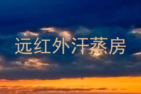 远红外汗蒸房