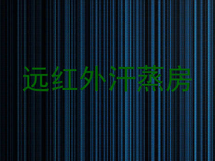 远红外汗蒸房