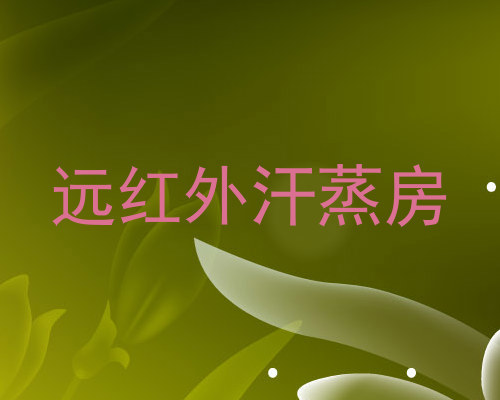 远红外汗蒸房