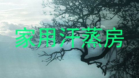 家用汗蒸房