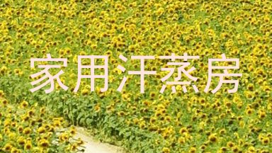 家用汗蒸房