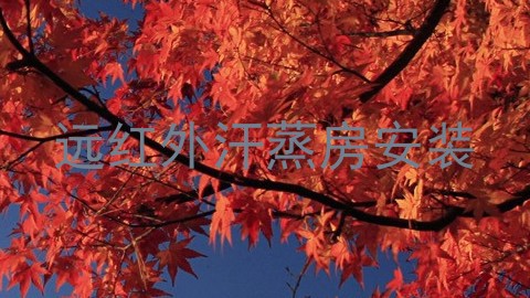 远红外汗蒸房安装
