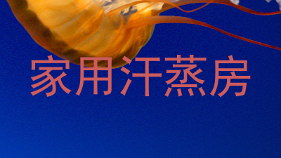 家用汗蒸房