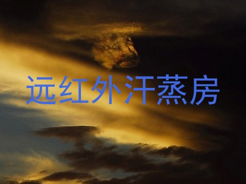 远红外汗蒸房