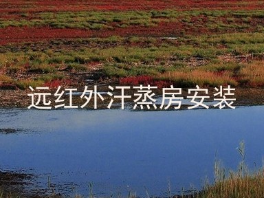 远红外汗蒸房安装