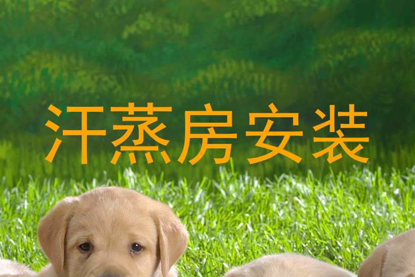 汗蒸房安装
