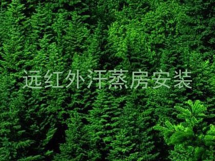 远红外汗蒸房安装
