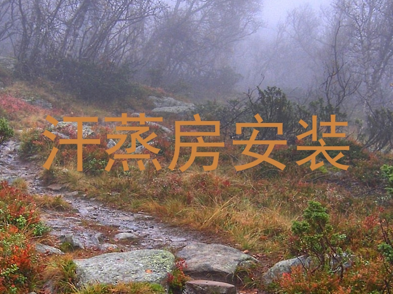 汗蒸房安装