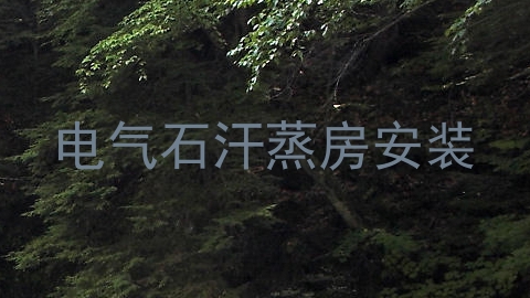 电气石汗蒸房安装