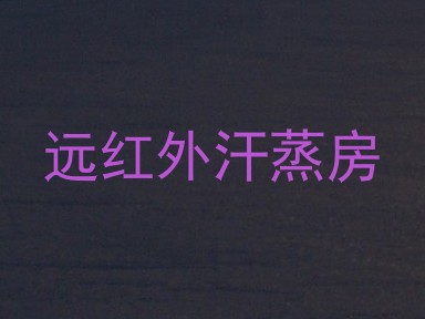 远红外汗蒸房