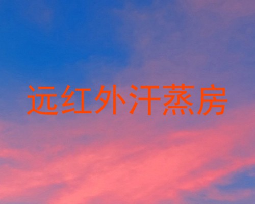 远红外汗蒸房
