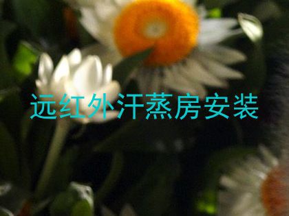 远红外汗蒸房安装