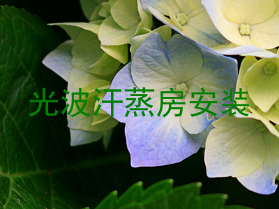 光波汗蒸房安装