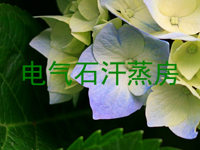 电气石汗蒸房