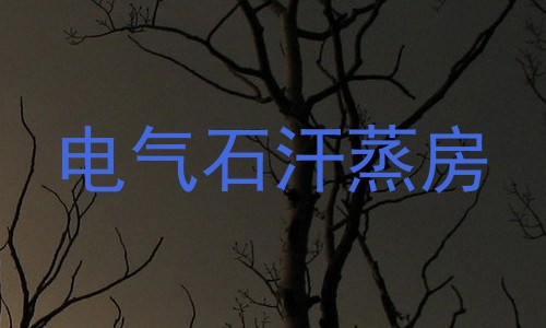 电气石汗蒸房