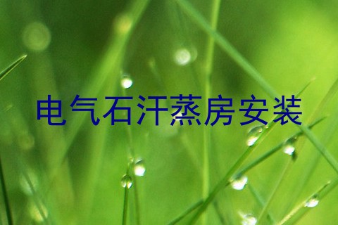 电气石汗蒸房安装