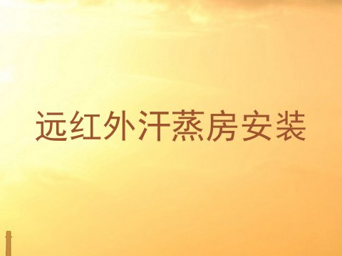 远红外汗蒸房安装