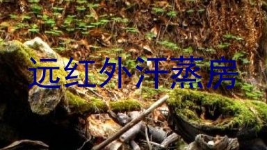 远红外汗蒸房