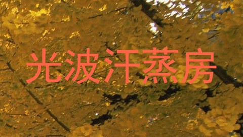 光波汗蒸房